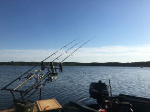 Karpfenangeln an großen Naturseen
