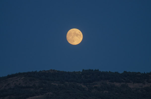 Vollmond fotografie