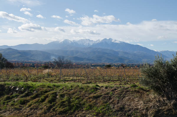RoussillonnLonguedoc
