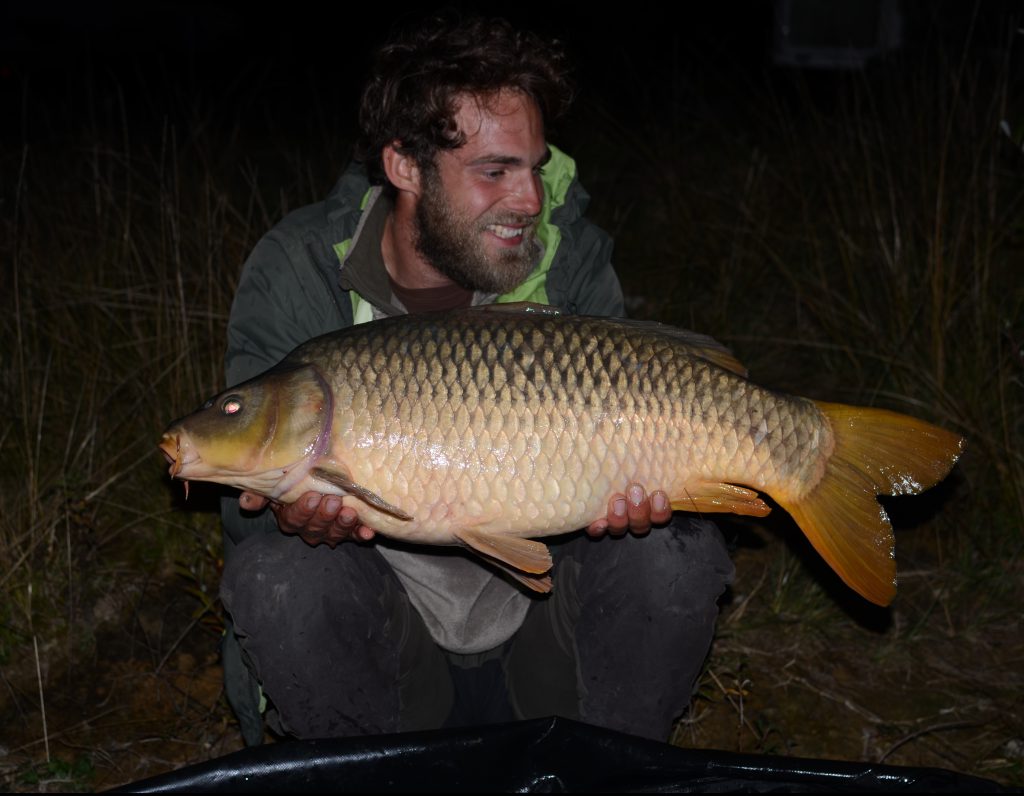 Karpfen, Angeln, carpfishing, Angeln, carphunter,, hobby, nature
